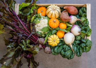 panier de légumes