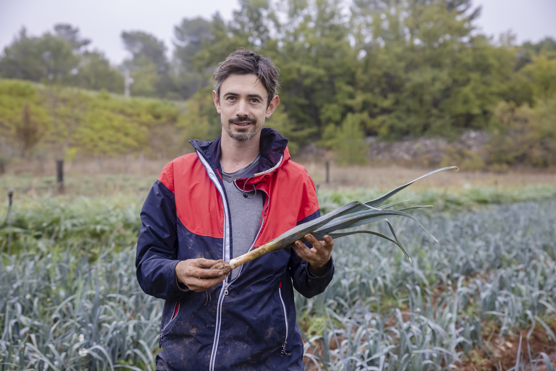 panier de légumes 