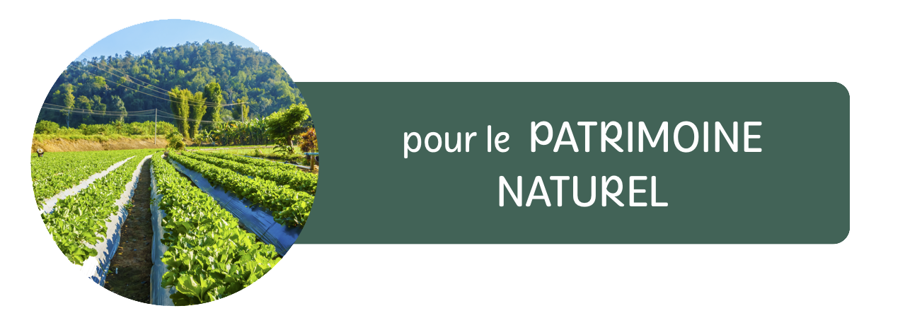 patrimoine naturel picto